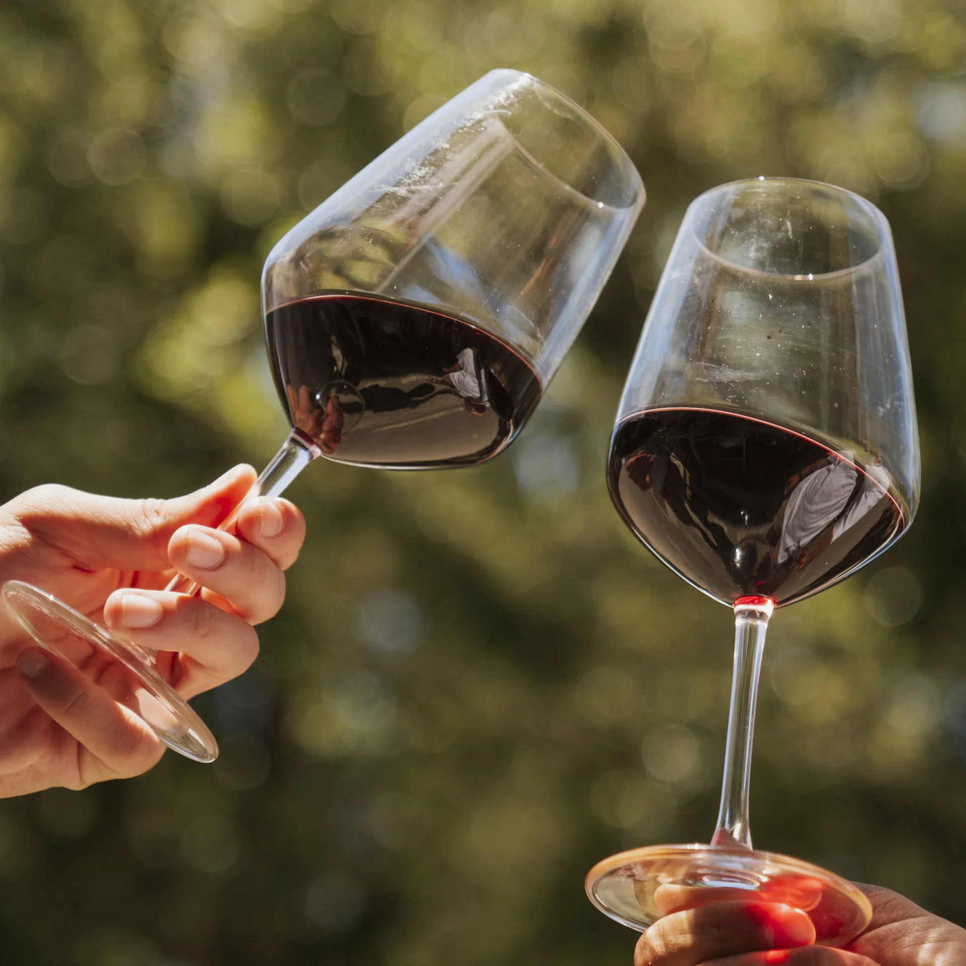 Tuscany Hotel Alle Dune: il vostro Sea-Escape in Toscana Tuscany Hotel Alle Dune: il vostro Sea-Escape in Toscana