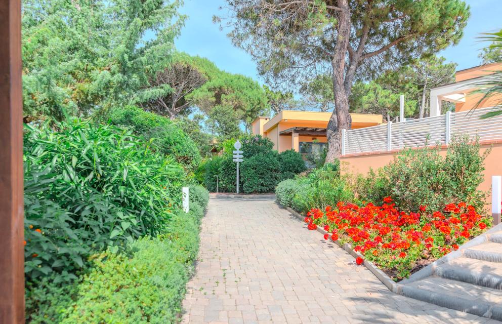 Giardino con vialetto, fiori rossi e alberi verdi.