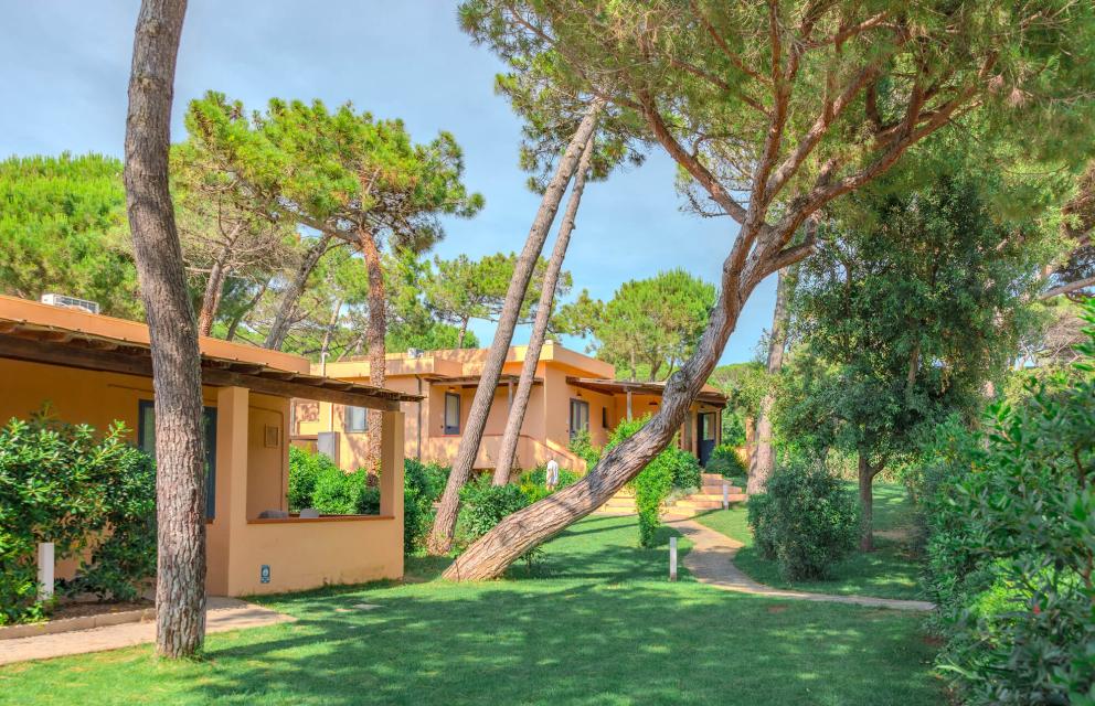 Bungalow immersi nel verde con alberi e sentieri.